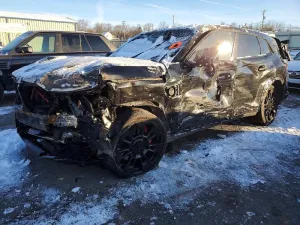 2025 BMW MOTORRAD XM