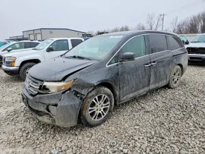 2011 HONDA All Models