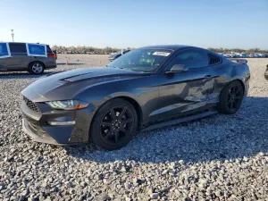 2019 FORD ALL Models