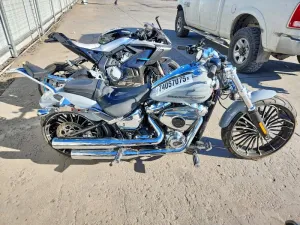 2025 HARLEY-DAVIDSON ALL OTHER