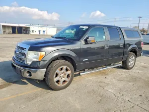 2013 FORD F-150