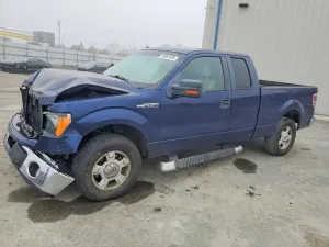 2010 FORD F-150
