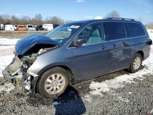 2010 HONDA All Models