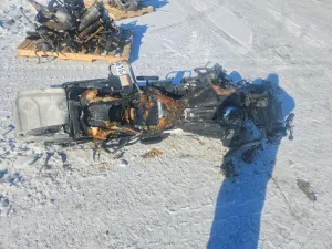 2018 HARLEY-DAVIDSON FL