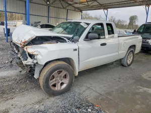2010 DODGE DAKOTA
