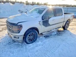 2024 FORD All Models