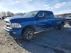 2010 DODGE All Models