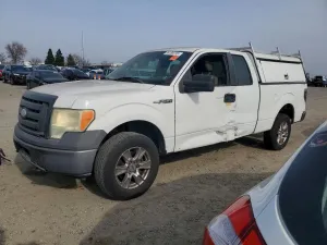 2009 FORD F-150