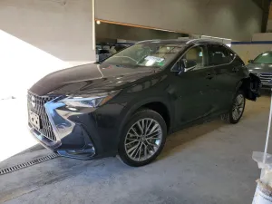 2026 LEXUS NX 350 PRE