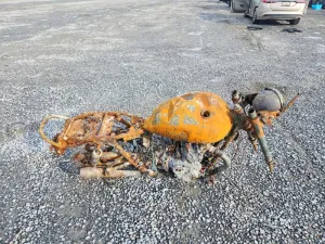 2013 TRIUMPH MOTORCYCLE BONNEVILLE