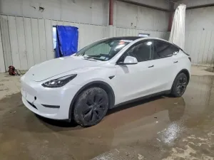 2025 TESLA MODEL Y