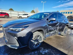 2023 LEXUS NX 350
