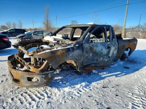 2010 DODGE All Models