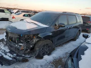 2025 KIA CARNIVAL HYBRID