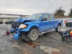 2010 FORD F-150