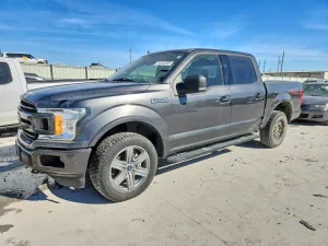 2019 FORD All Models