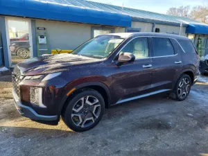2024 HYUNDAI PALISADE