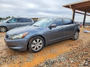 2010 HONDA ACCORD