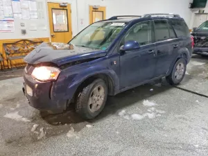 2007 SNOWEX VUE