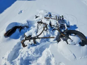 2020 SUZUKI CYCLE DL