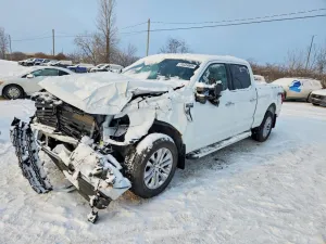 2025 FORD F150 LARIA