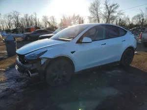2024 TESLA MODEL Y
