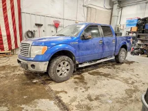 2010 FORD F-150