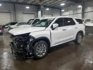 2023 HYUNDAI PALISADE