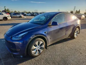 2024 TESLA MODEL Y