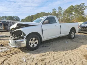 2010 DODGE All Models