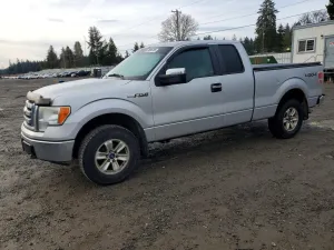 2009 FORD F-150