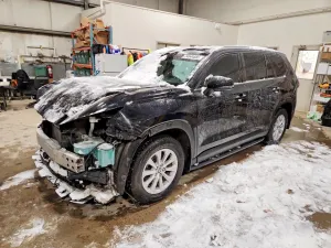 2024 TOYOTA GRAND HIGH