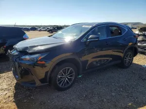 2024 LEXUS NX 350H BA