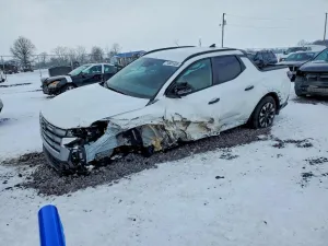 2025 HYUNDAI SANTA CRUZ