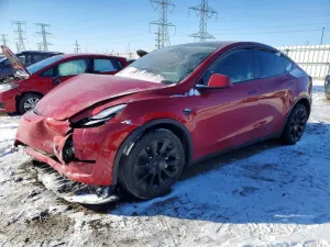 2021 TESLA MODEL Y