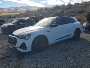 2022 AUDI E-TRON CHR