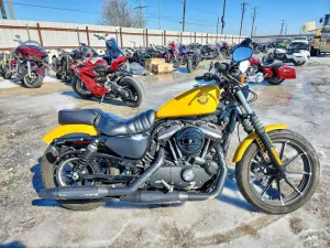 2019 HARLEY-DAVIDSON XL883 N