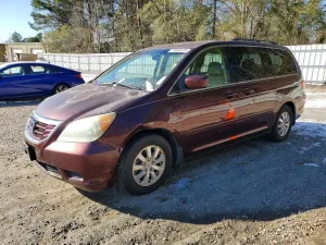 2010 HONDA All Models