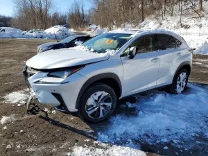 2021 LEXUS NX