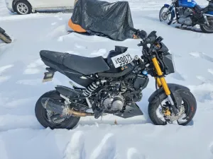 2021 KAWASAKI OTHR CYCLE