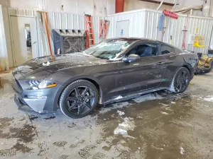 2020 FORD ALL Models