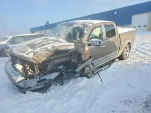 2009 DODGE All Models