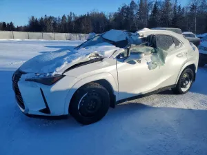 2025 LEXUS UX 300H BA