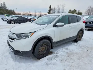 2019 HONDA CRV