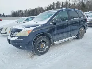 2010 HONDA CRV