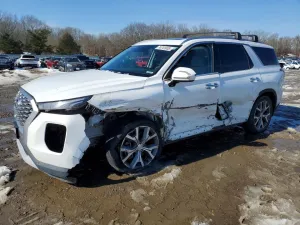 2022 HYUNDAI PALISADE