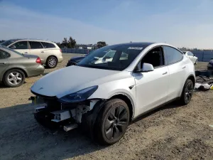 2025 TESLA MODEL Y