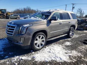 2019 CADILLAC ESCALADE