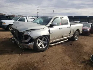 2010 DODGE All Models