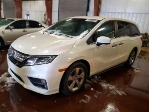 2019 HONDA All Models